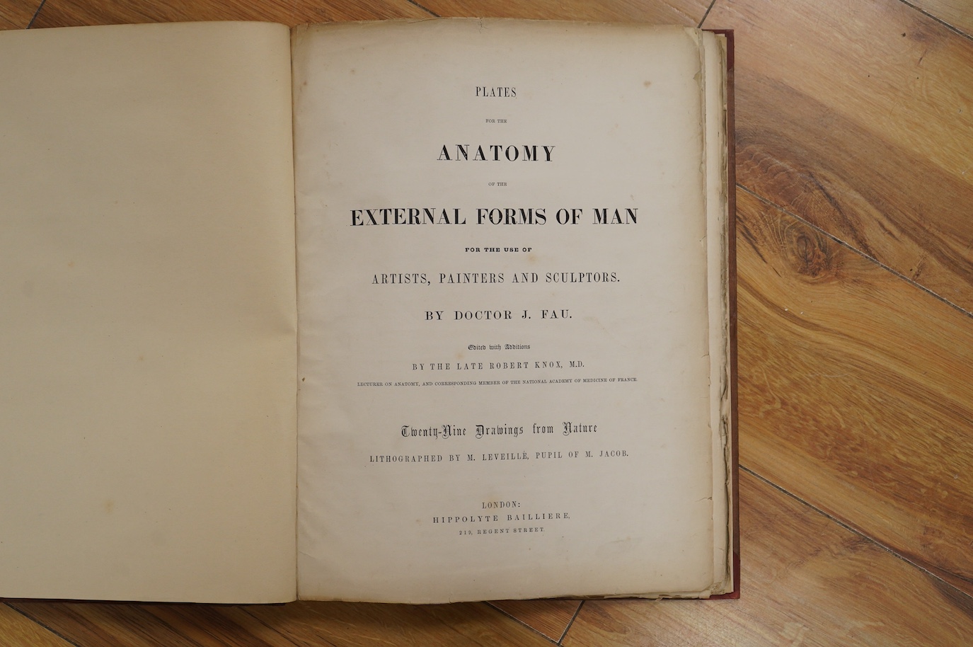 Fau, Dr. J.; Plates for the Anatomy of the External Forms of Man, for the use of artists, painters and sculptures (2nd edition), with additions by the late Robert Knox, 29 lithographed plates (mostly tinted/coloured), ea